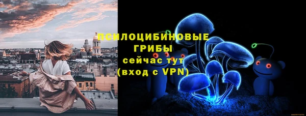 apvp Горно-Алтайск