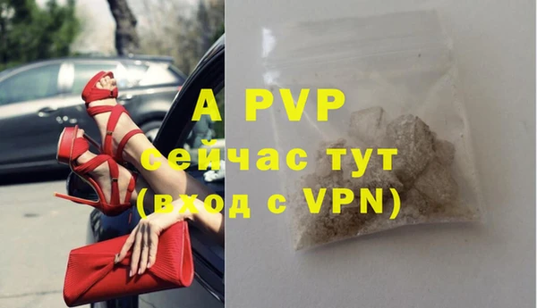 индика Липки