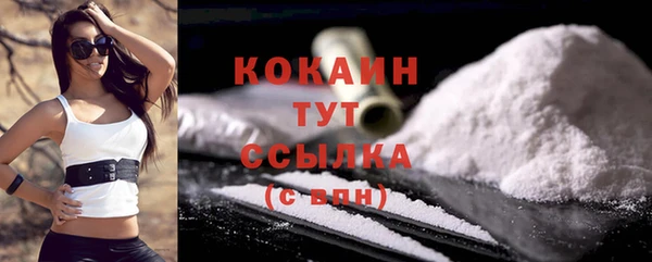 тгк Лиски