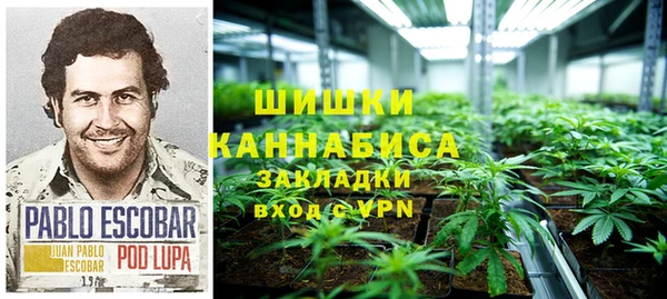 тгк Лиски