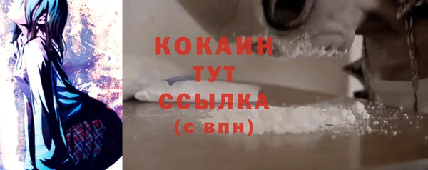 индика Липки