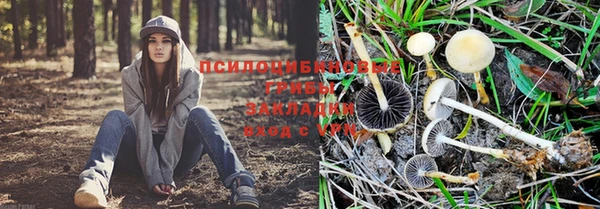 apvp Горно-Алтайск