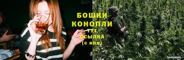 индика Липки