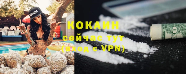 тгк Лиски