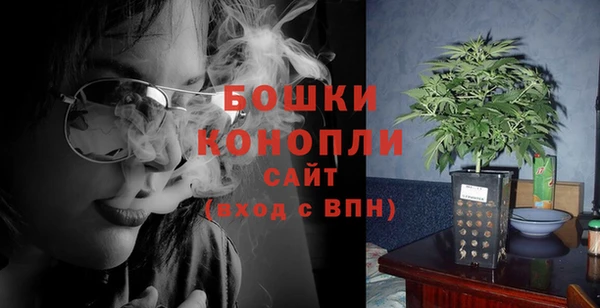 тгк Лиски