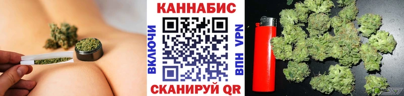где продают наркотики  Данилов  мориарти телеграм  Бошки Шишки SATIVA & INDICA 